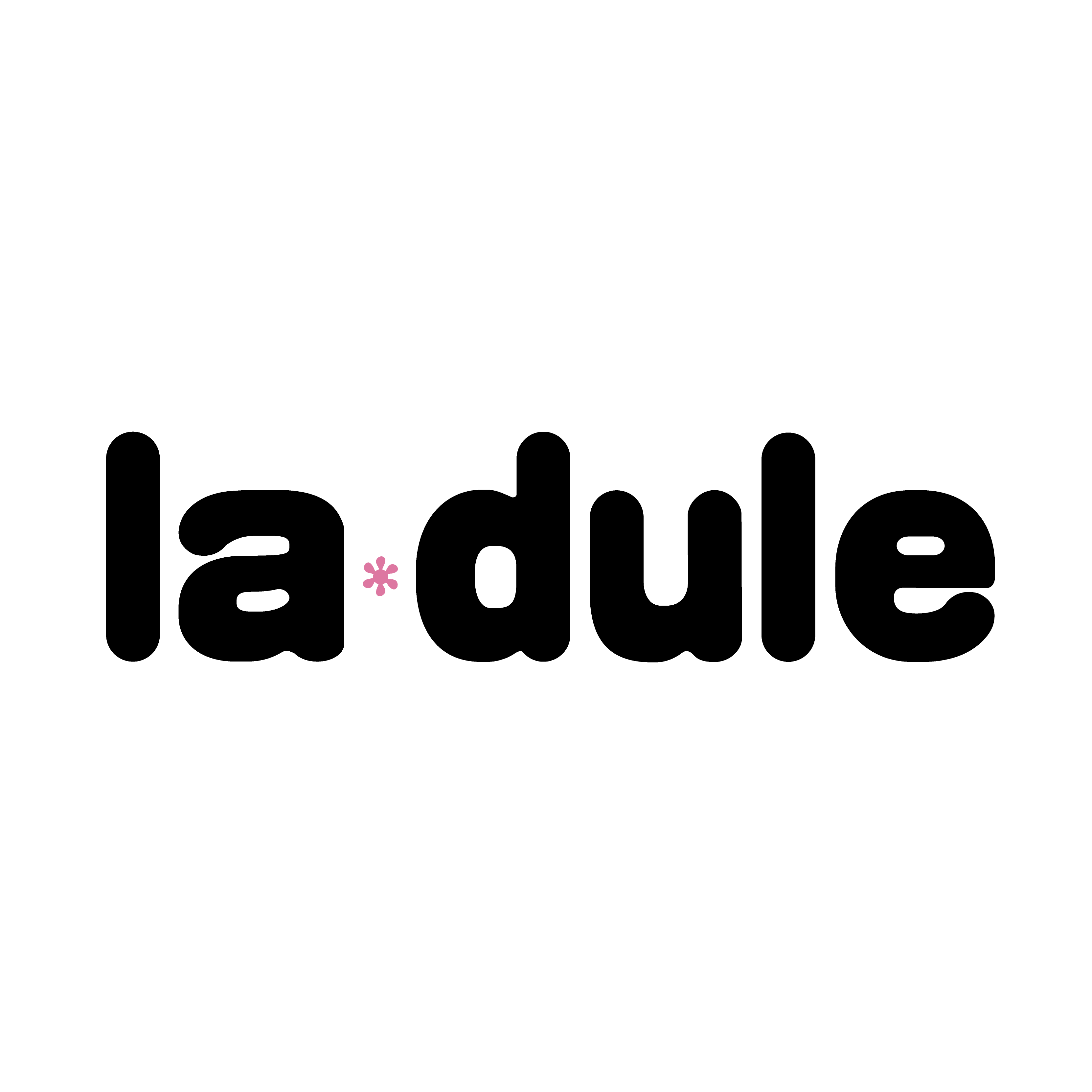Portfolio Ladule